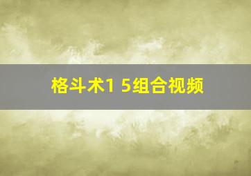 格斗术1 5组合视频